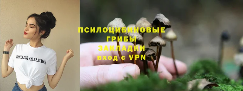 hydra вход  Горняк  Галлюциногенные грибы Psilocybine cubensis 